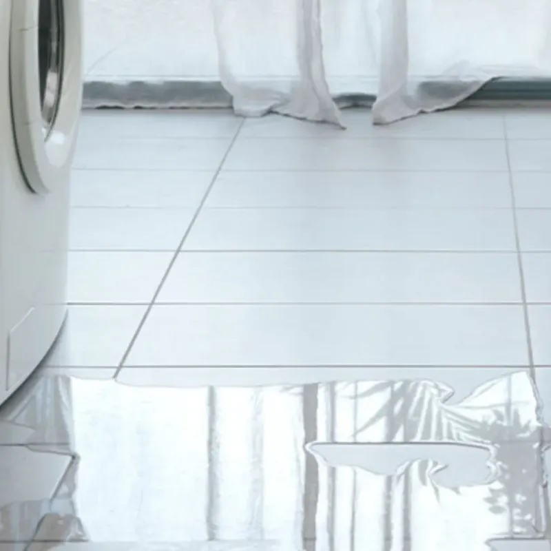 Appliance Leak Cleanup in Shenandoah County, VA