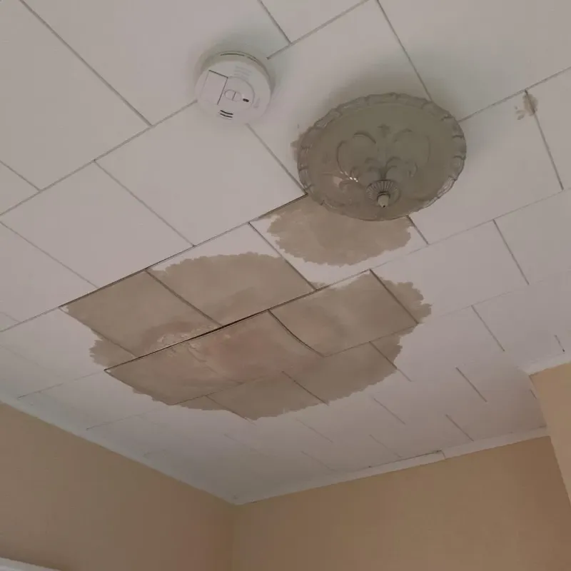 Ceiling Water Damage Repair in Shenandoah County, VA