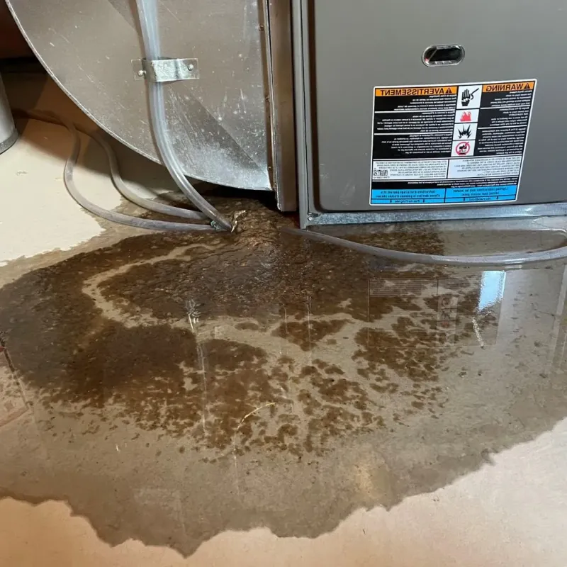 Pipe Burst and Leak Restoration in Shenandoah County, VA